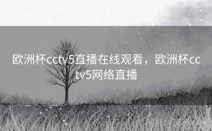 欧洲杯cctv5直播在线观看,欧洲杯cctv5网络直播