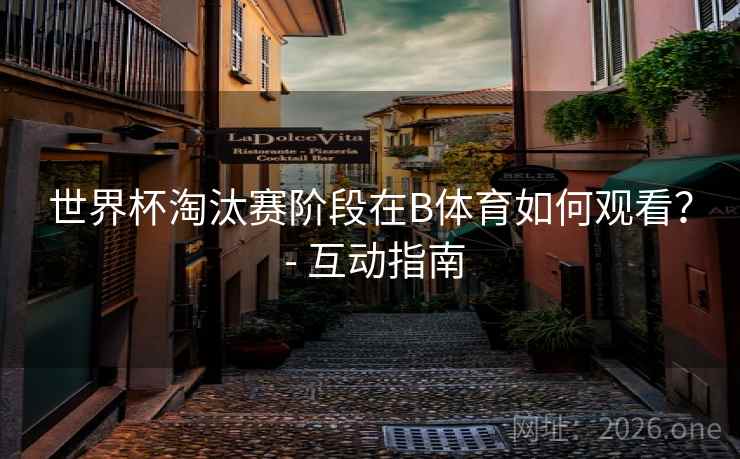 世界杯淘汰赛阶段在B体育如何观看? - 互动指南