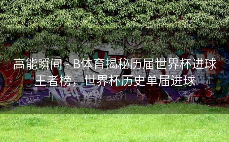 高能瞬间 - B体育揭秘历届世界杯进球王者榜,世界杯历史单届进球