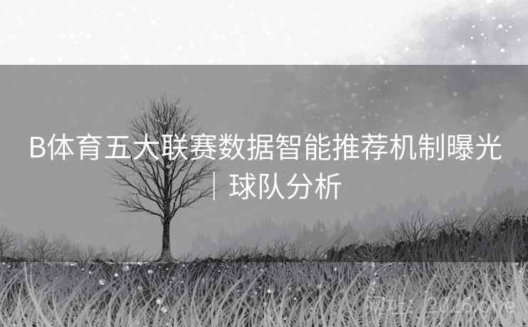 B体育五大联赛数据智能推荐机制曝光|球队分析