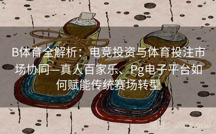 B体育全解析:电竞投资与体育投注市场协同—真人百家乐、Pg电子平台如何赋能传统赛场转型