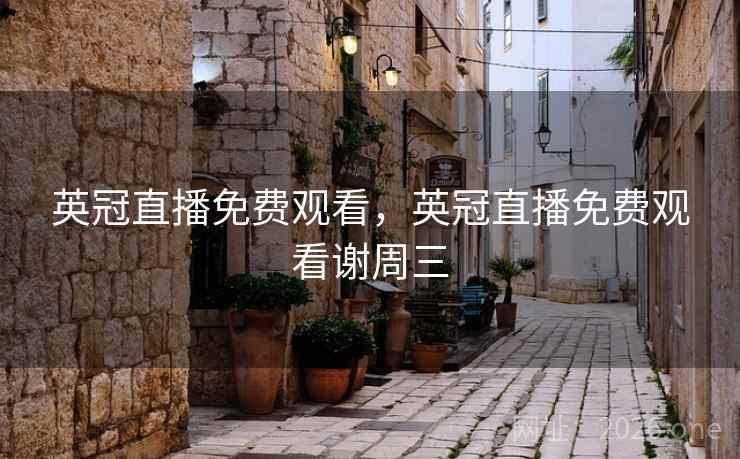 英冠直播免费观看，英冠直播免费观看谢周三