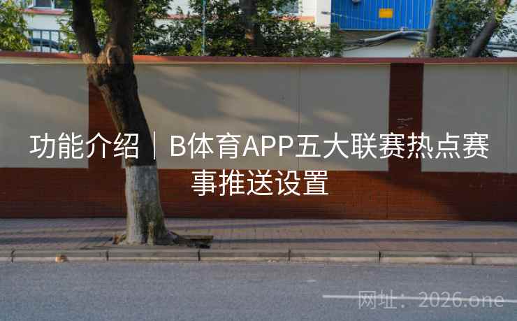 功能介绍|B体育APP五大联赛热点赛事推送设置