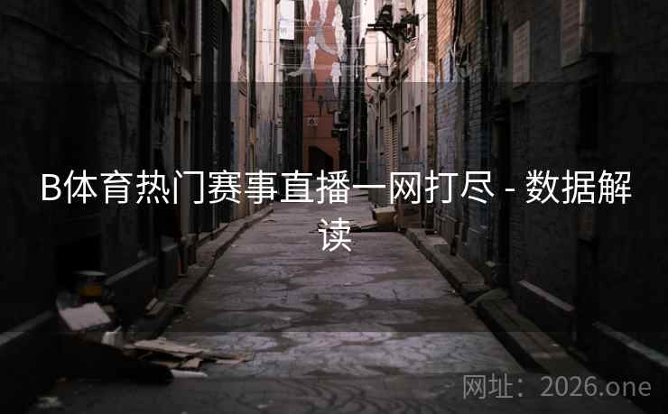 B体育热门赛事直播一网打尽 - 数据解读