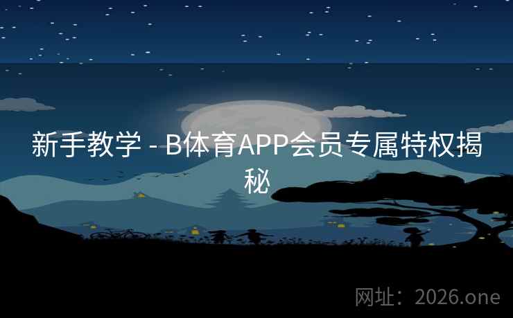 新手教学 - B体育APP会员专属特权揭秘