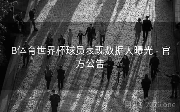 B体育世界杯球员表现数据大曝光 - 官方公告