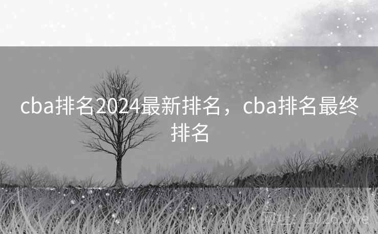 cba排名2024最新排名,cba排名最终排名