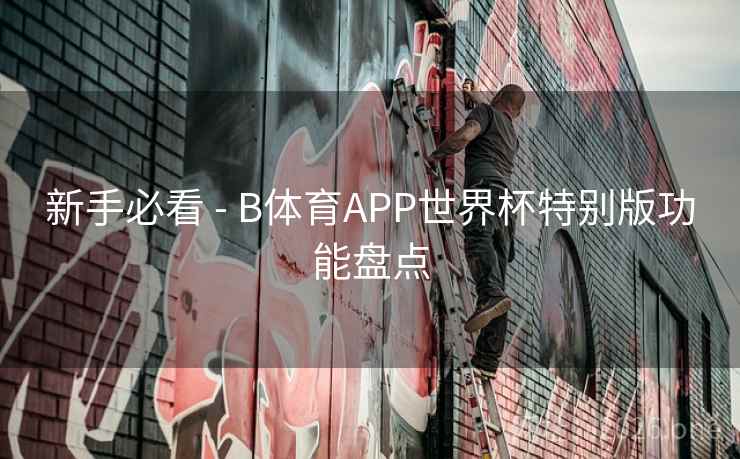 新手必看 - B体育APP世界杯特别版功能盘点