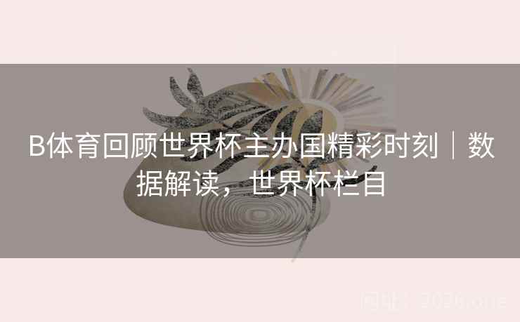 B体育回顾世界杯主办国精彩时刻|数据解读,世界杯栏目
