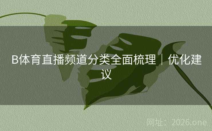 B体育直播频道分类全面梳理｜优化建议