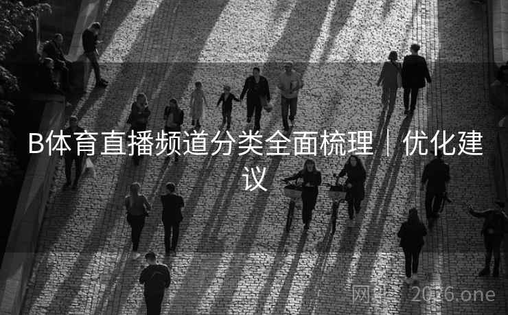 B体育直播频道分类全面梳理|优化建议