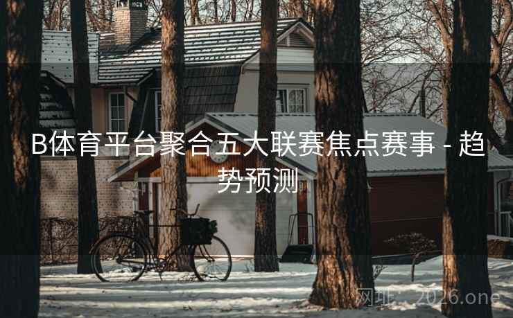 B体育平台聚合五大联赛焦点赛事 - 趋势预测